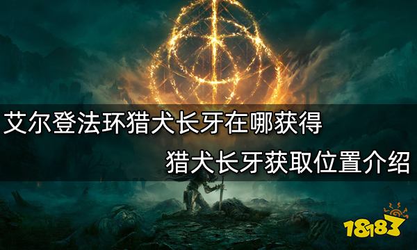 艾尔登法环猎犬长牙在哪获得 猎犬长牙获取位置介绍